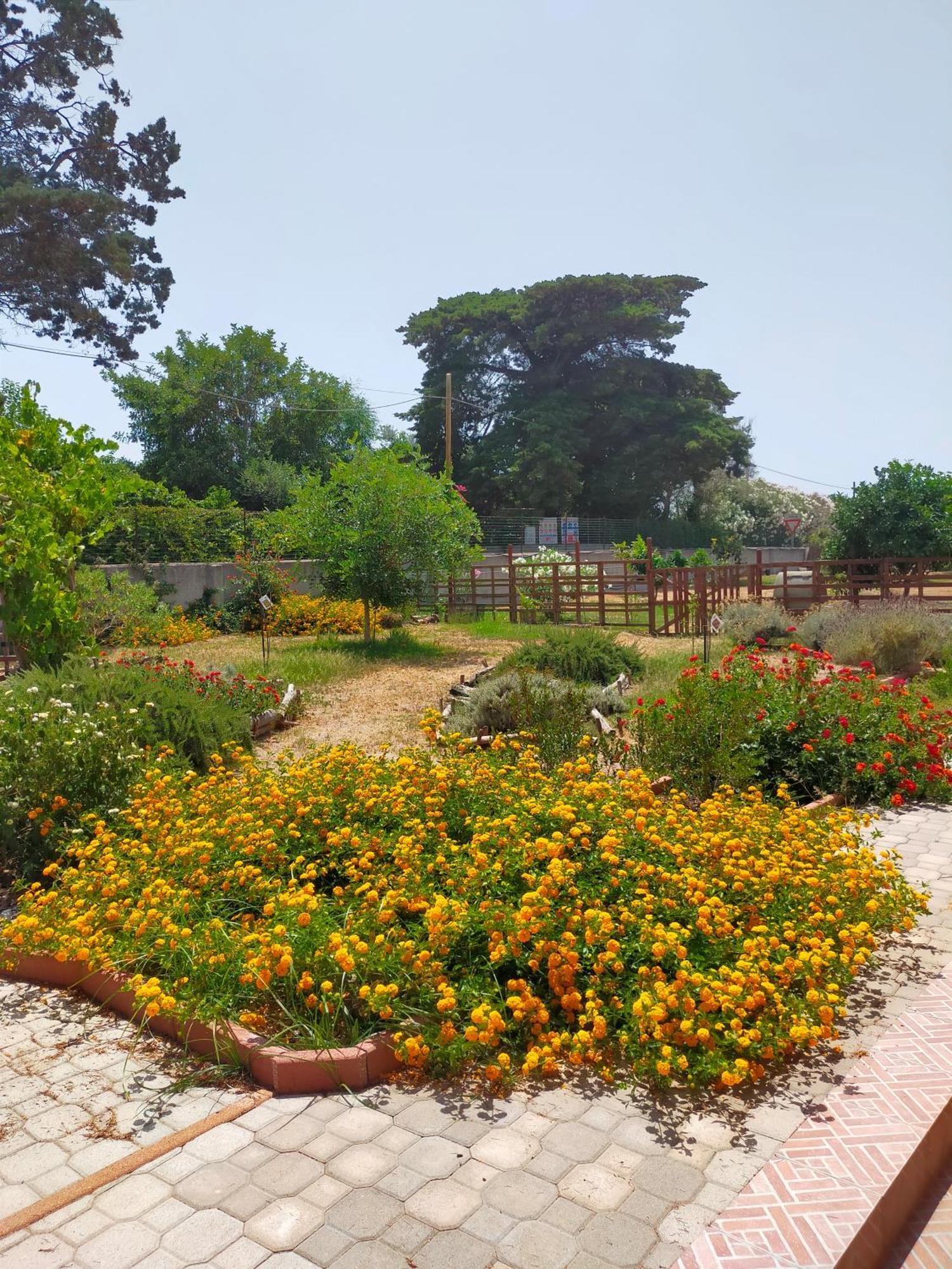 Casa Marina Lu Tuvaraggiu Casa Vacanze Sorso Εξωτερικό φωτογραφία